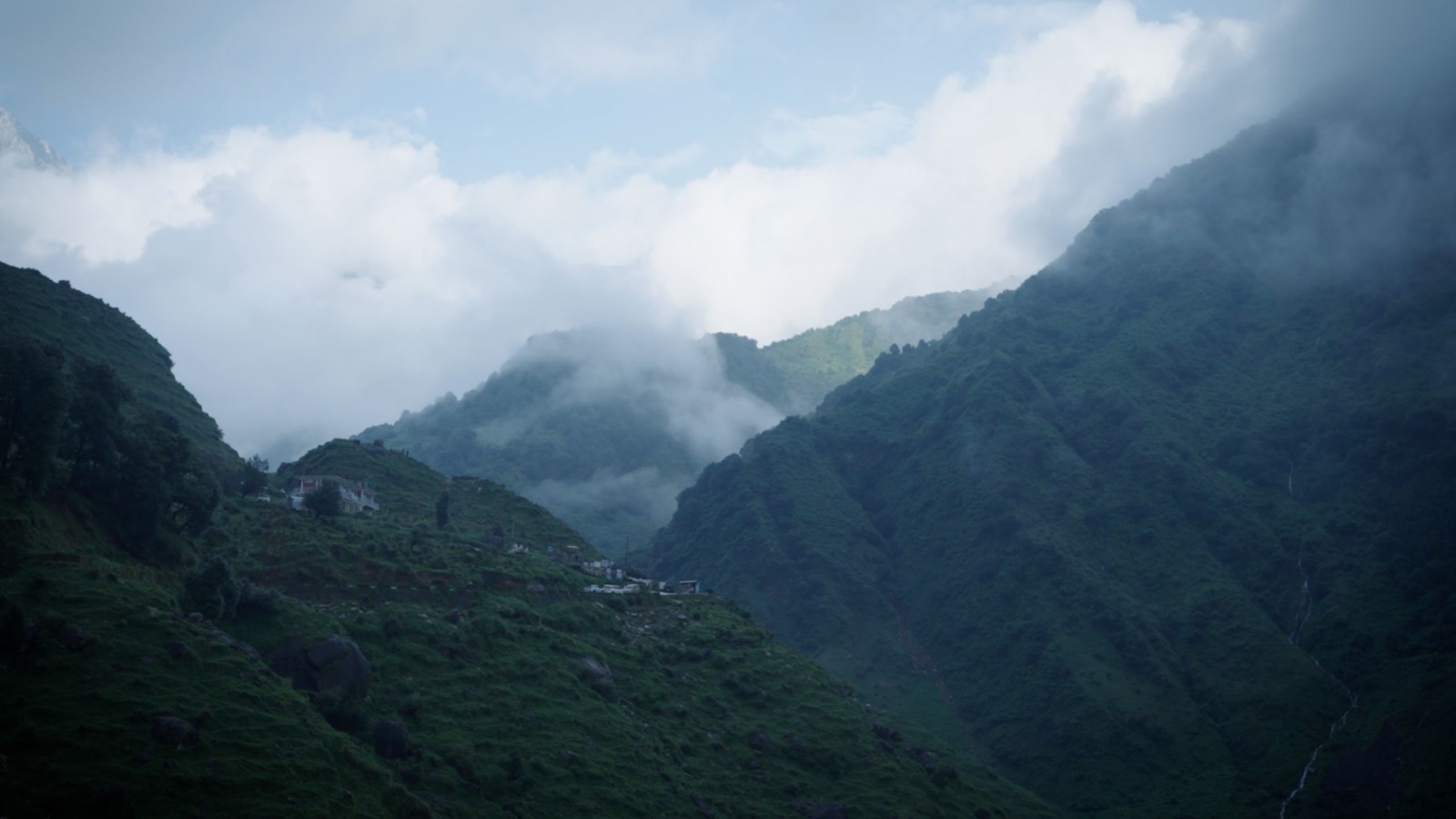 Mist drifting across forested Himalayan ridges in the Kangra Valley